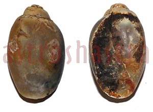 Heera Shankh 0132 29